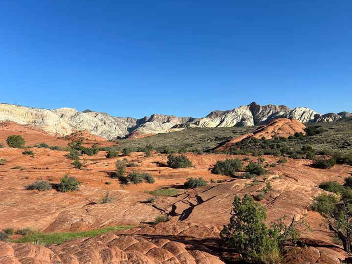 Snow Canyon State Park is a family-friendly attraction with many scenic trails!